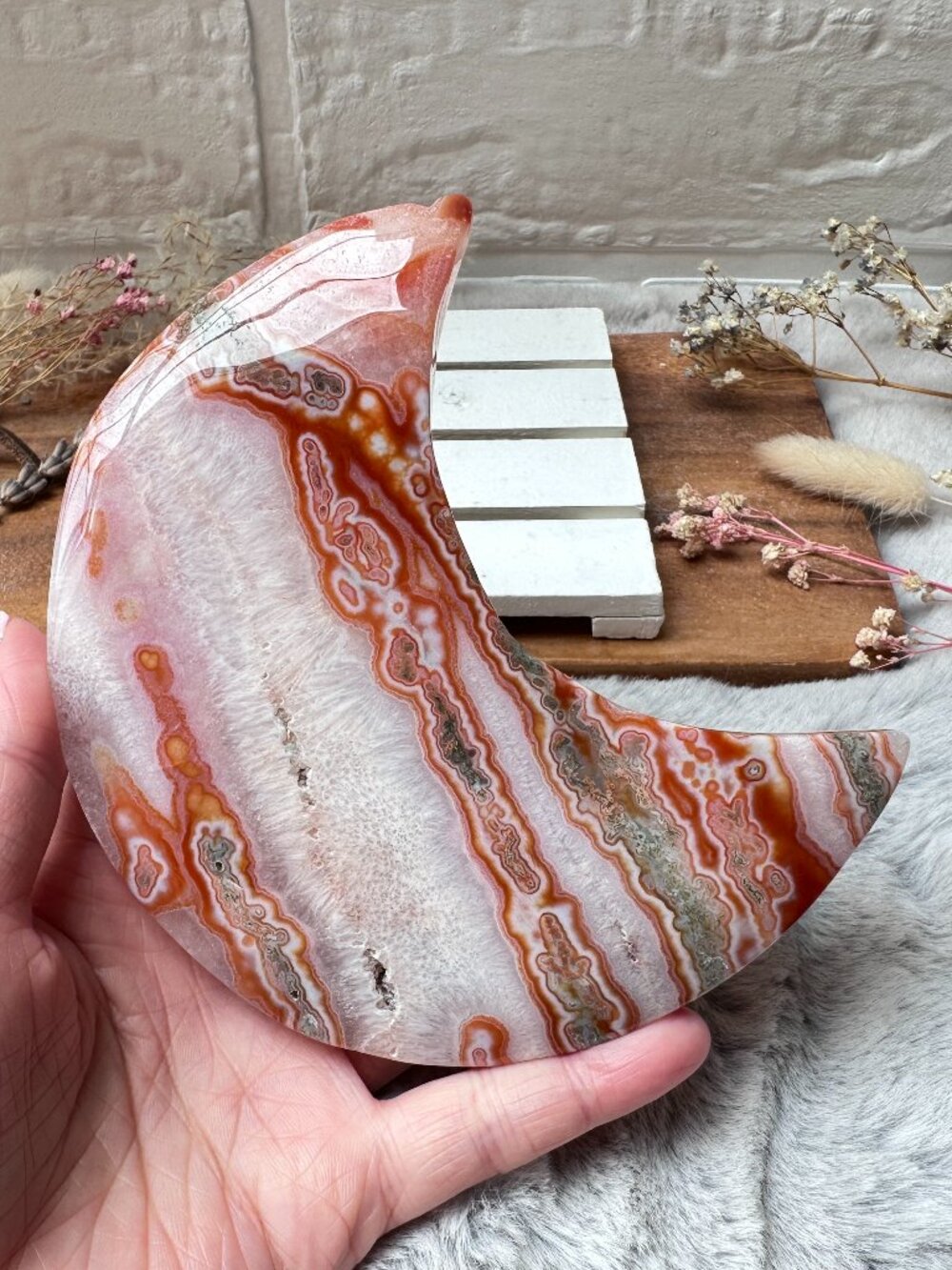 Gorgeous Large Carnelian with Moss Agate Moon